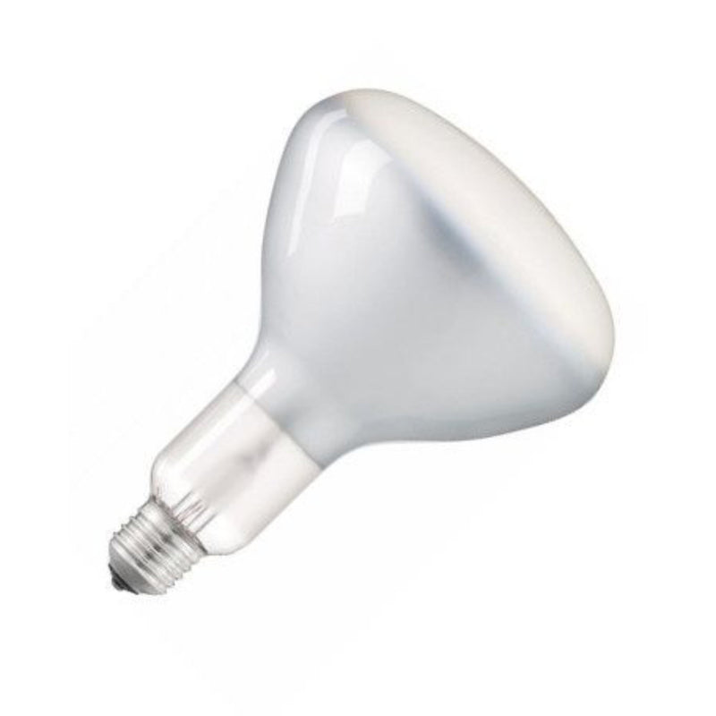 Parentesi/Luminator Bulb Lamp