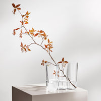 Alvar Aalto Vase, 120 mm - Iittala