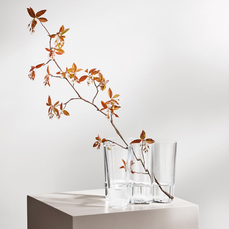 Alvar Aalto Vase, 120 mm - Iittala