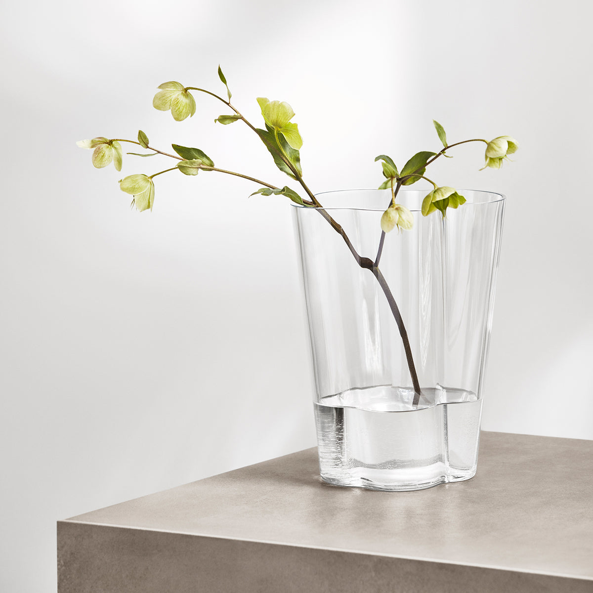 Alvar Aalto Vase, 220 mm - Iittala
