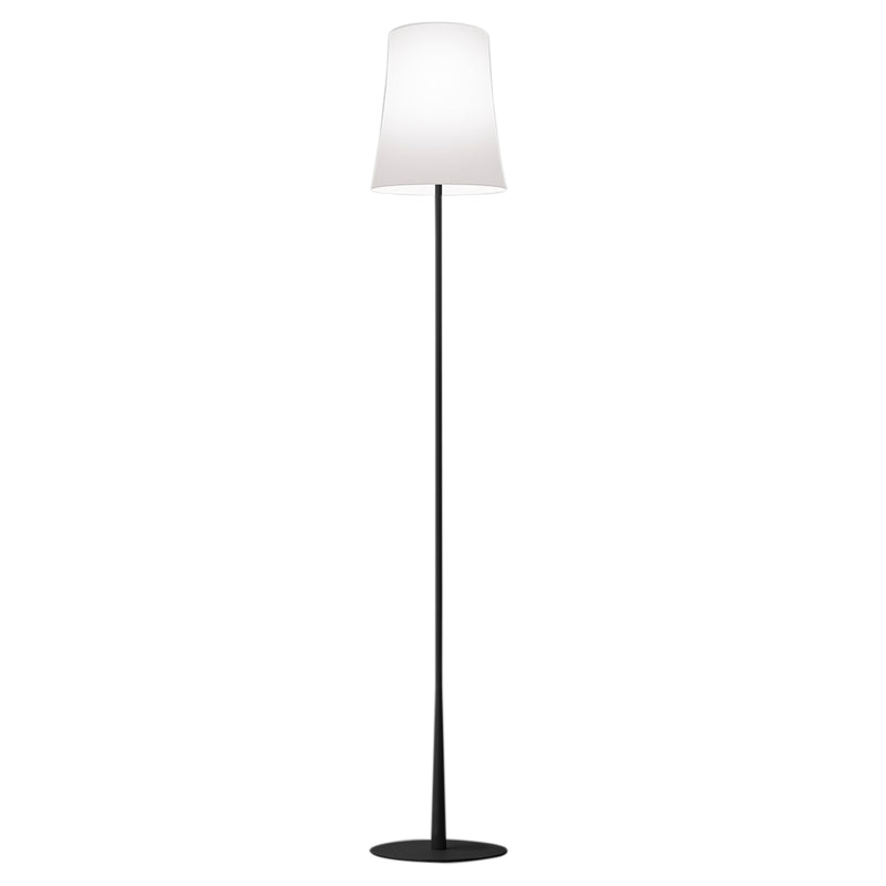 Birdie Easy Floor Lamp