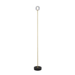 Brass and Black