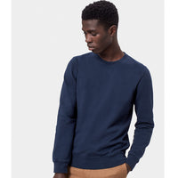 Classic Organic Unisex Crewneck Sweatshirt, Limestone Grey - Colorful Standard