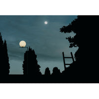 IC Outdoor Floor Lamp, F1 - Flos