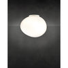 Gregg Ceiling & Wall Light