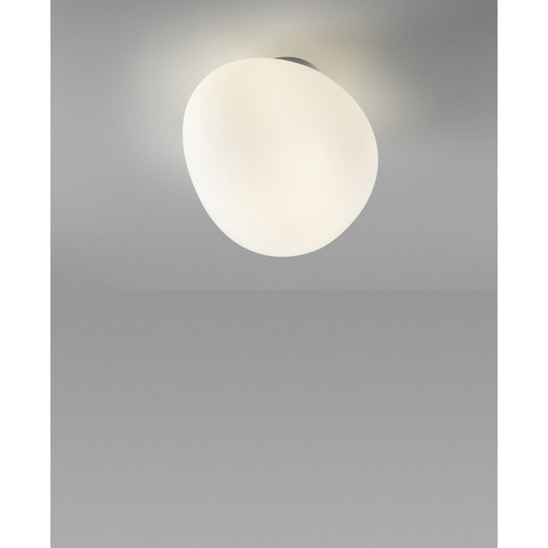 Gregg Ceiling & Wall Light