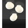 Gregg Ceiling & Wall Light