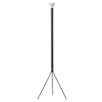 Luminator Floor Lamp