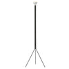 Luminator Floor Lamp