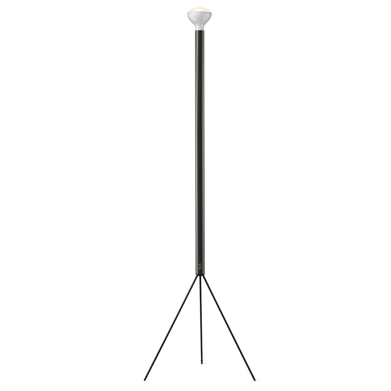 Luminator Floor Lamp