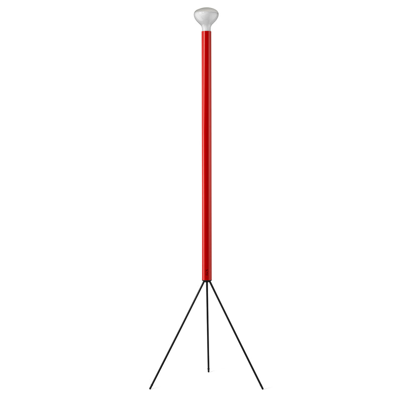 Luminator Floor Lamp