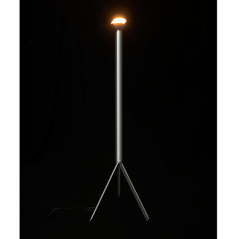 Luminator Floor Lamp