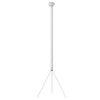 Luminator Floor Lamp