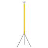 Luminator Floor Lamp