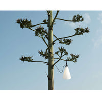 Mayday Outdoor Lamp