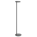 Matt Anthracite