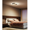 Tidal Ceiling Light