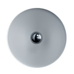 Large Silver